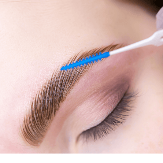 Beginners Brow Lamination Course Editable Training Manual - Rosey's Creations