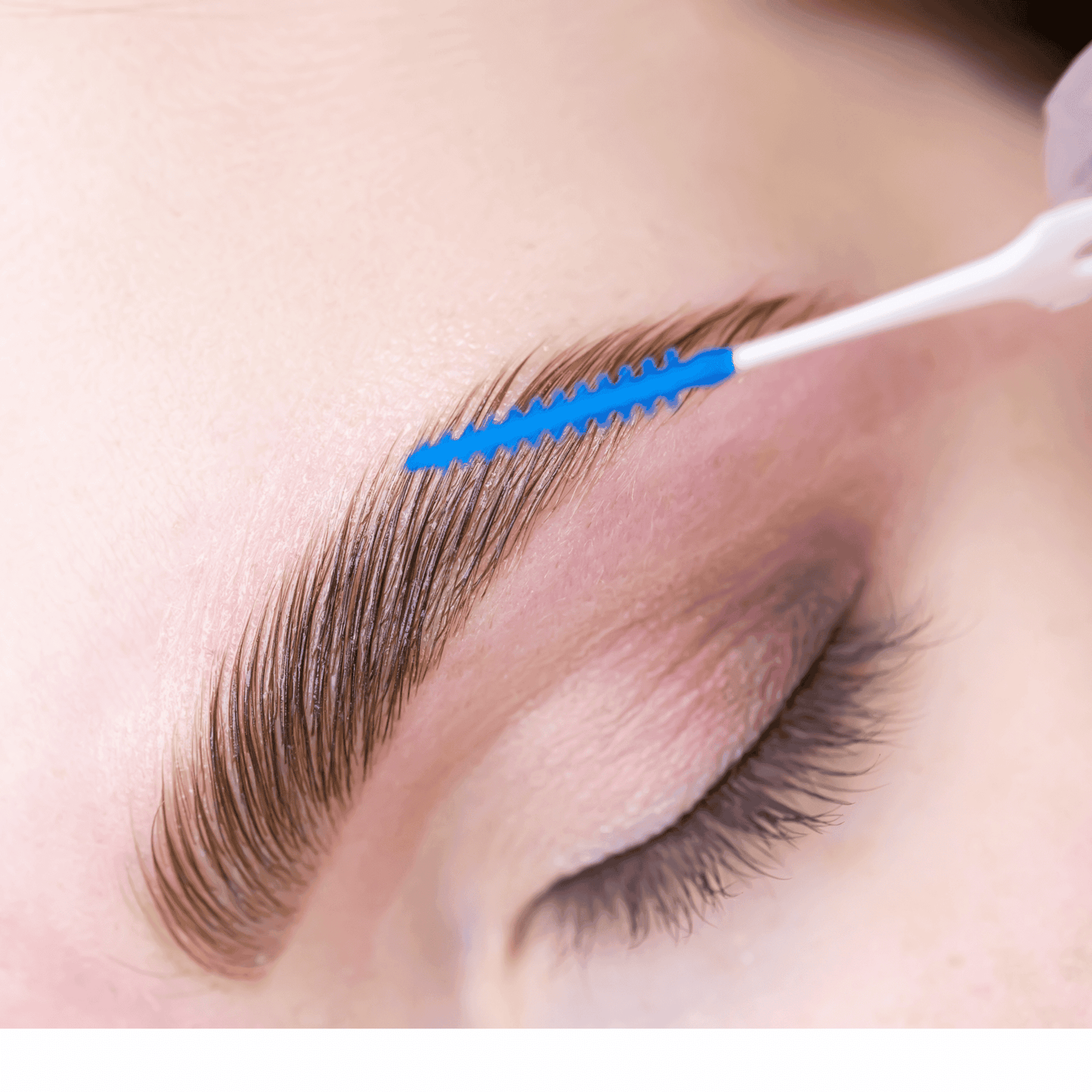 Brow Lamination, Waxing & Tinting Course Beginners 3 Course Bundle - Rosey's Creations