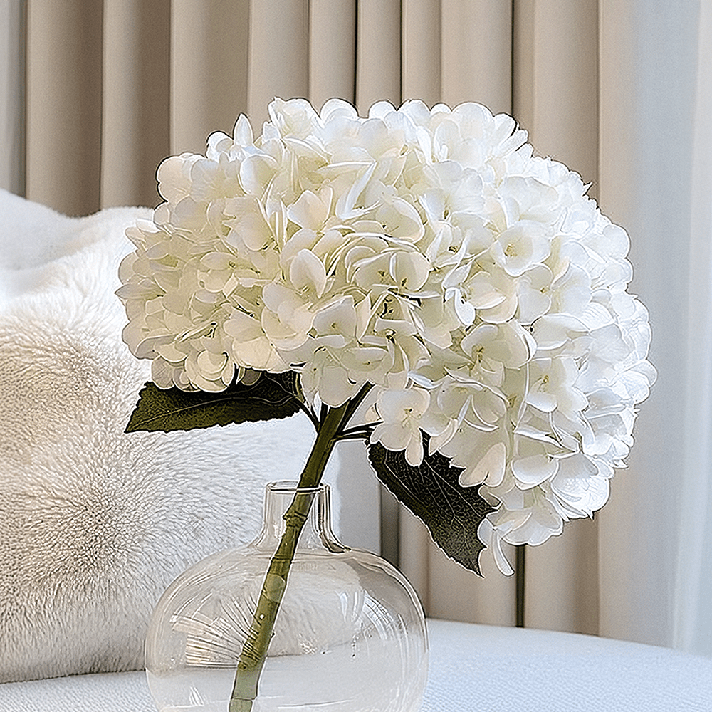 Cream Giant Pom Pom Hydrangea Single Stem Flower.