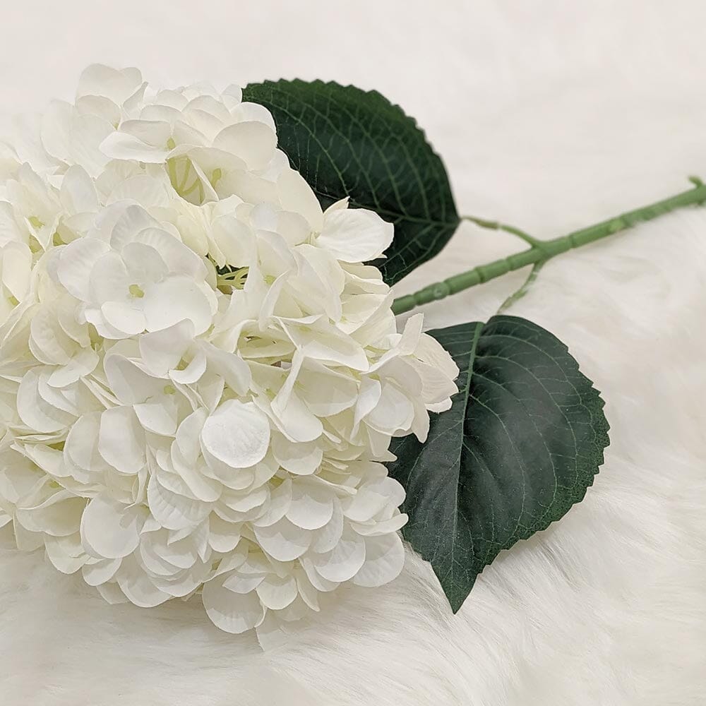 Cream Giant Pom Pom Hydrangea Single Stem Flower.