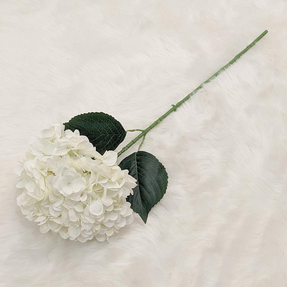 Cream Giant Pom Pom Hydrangea Single Stem Flower.