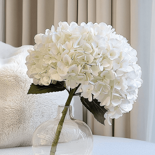 Cream Giant Pom Pom Hydrangea Single Stem Flower.