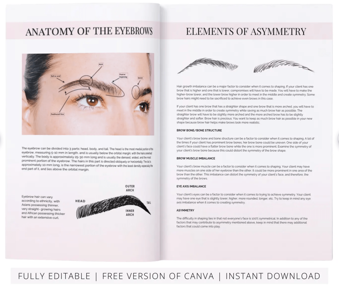 Eyebrow Mapping Course Editable Training Manual - Rosey's Creations