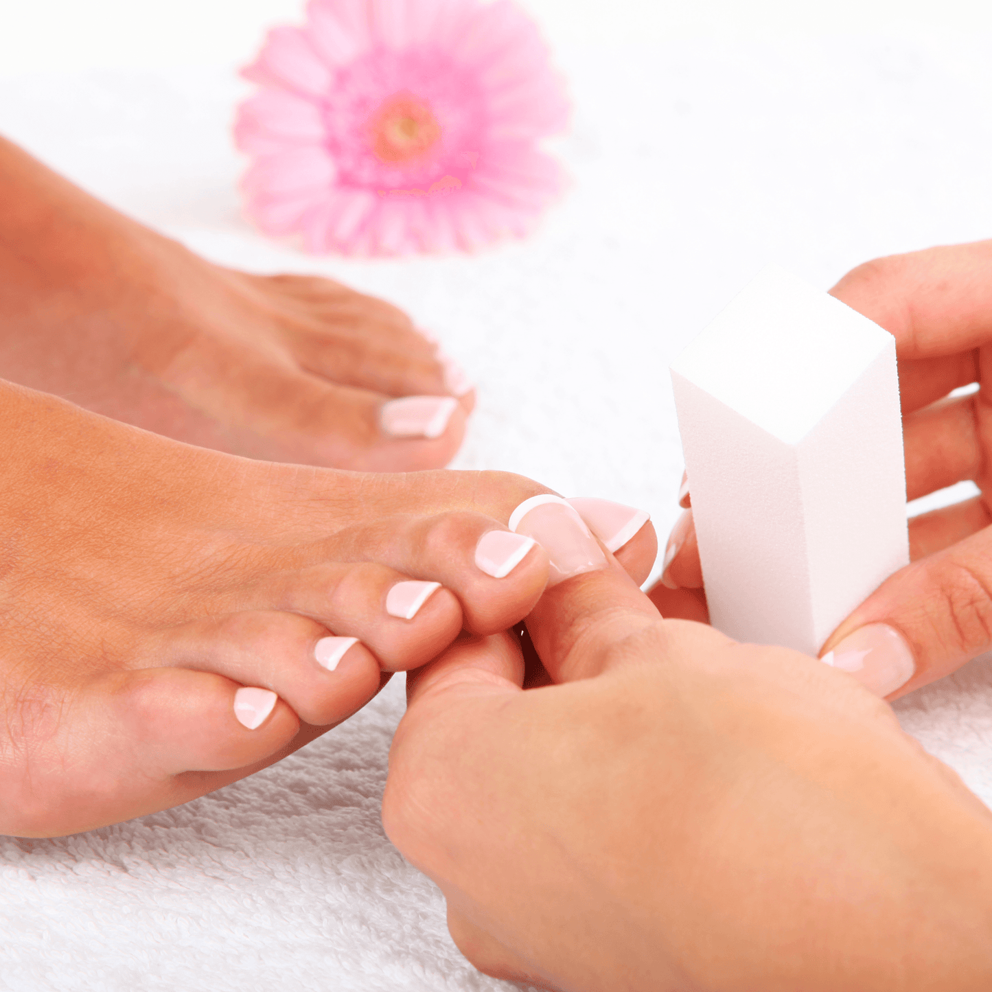 Refresher Nail Technician Course Editable Training Manual - Rosey's Creations