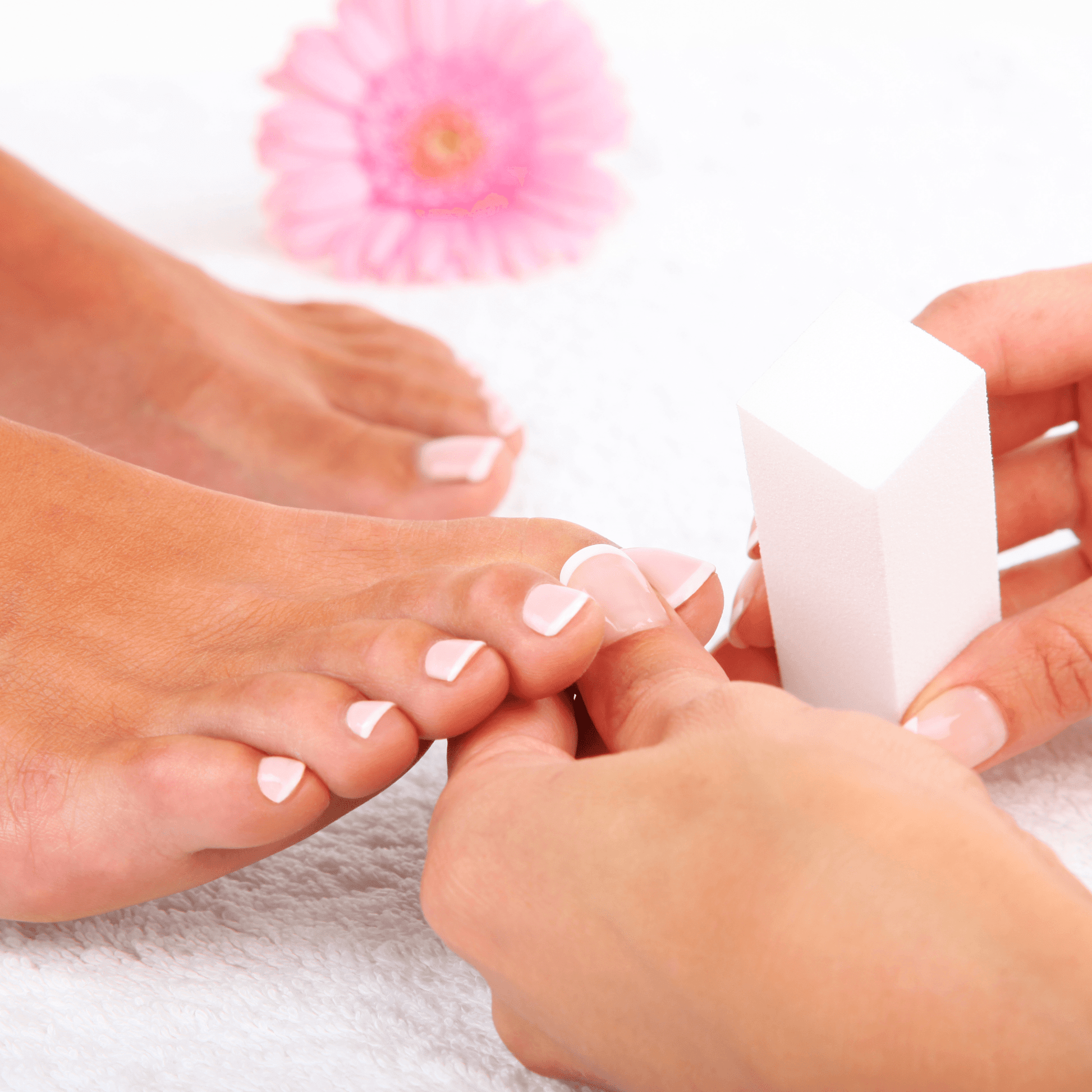 Refresher Nail Technician Course Editable Training Manual - Rosey's Creations