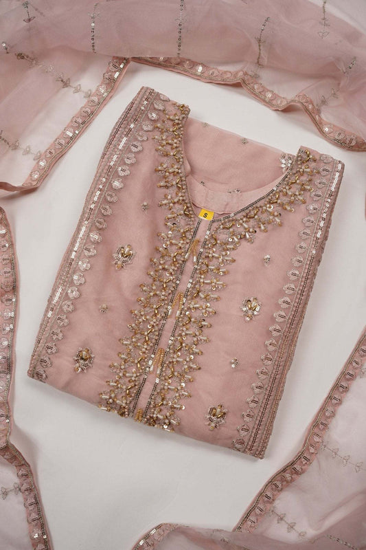 Tehwar - Luxury Organza Outfit - Festive Collection - Ready to Wear - Eid25 - TEHV8D2.